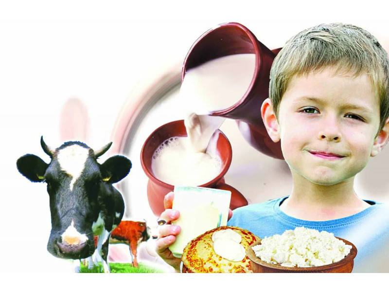 Польза и вред молочных продуктов для детей